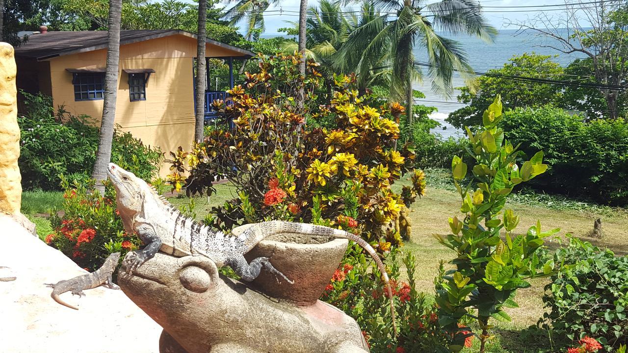 Hotel Los Mangos Montezuma Exterior foto